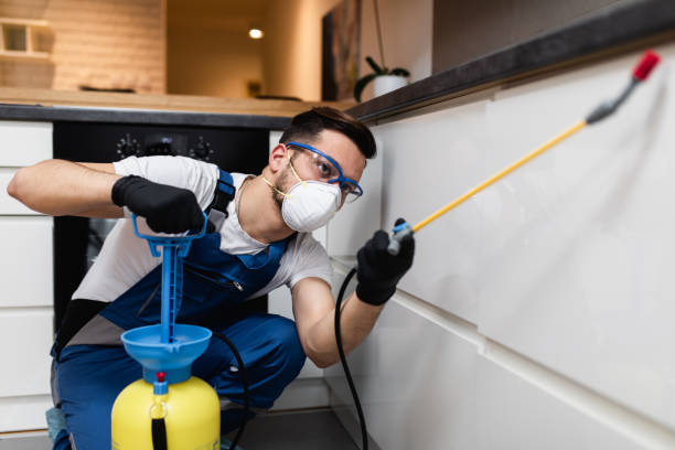 Best Termite Control Services  in East Grand Forks, MN
