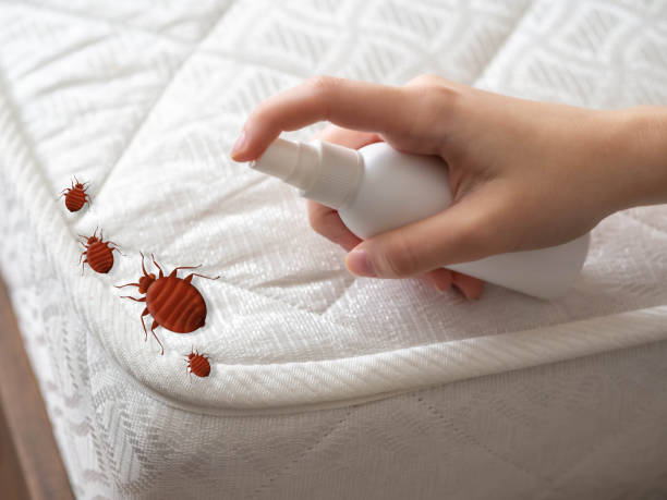 Best Best Pest Control Companies  in East Grand Forks, MN