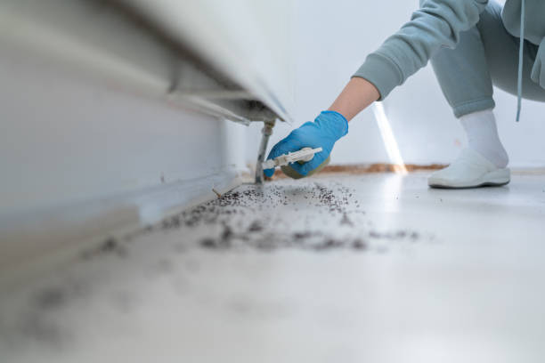 Best Exterminator Services  in East Grand Forks, MN